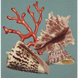 Elizabeth Bradley, Shells, RED CORAL - 16x16 pollici Elizabeth Bradley - 1