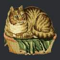Elizabeth Bradley, Victorian Animals, CONTENTED CAT - 16x16 pollici Elizabeth Bradley - 1