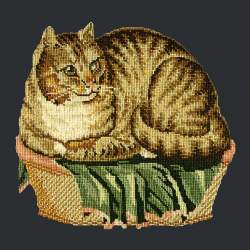 Elizabeth Bradley, Victorian Animals, CONTENTED CAT - 16x16 pollici