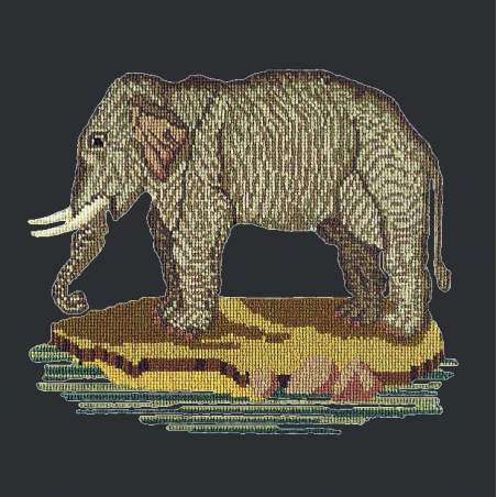 Elizabeth Bradley, Victorian Animals, THE ELEPHANT - 16x16 pollici Elizabeth Bradley - 1