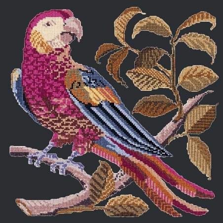 Elizabeth Bradley, Victorian Animals, PETE THE PARROT - 16x16 pollici Elizabeth Bradley - 1