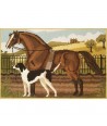 Elizabeth Bradley, Beasts of the Field, SUFFOLK PUNCH AND HOUND - 20x13 pollici Elizabeth Bradley - 1