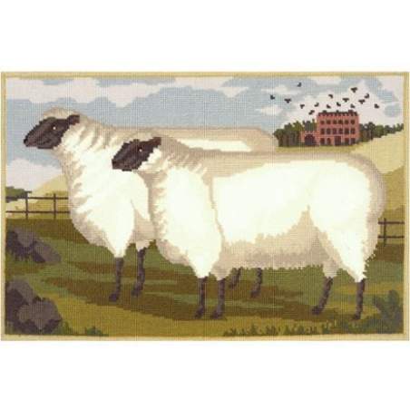 Elizabeth Bradley, Beasts of the Field, TWO FAT SUFFOLK LAMBS - 20x13 pollici Elizabeth Bradley - 1