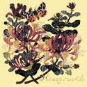 Elizabeth Bradley, Climbing Flower, HONEYSUCKLE - 16x16 pollici Elizabeth Bradley - 1