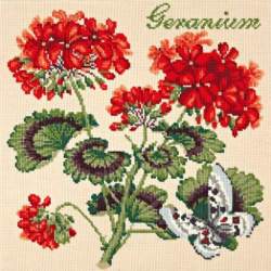 Elizabeth Bradley, Cottage Garden, GERANIUM - 16x16 pollici Elizabeth Bradley - 1