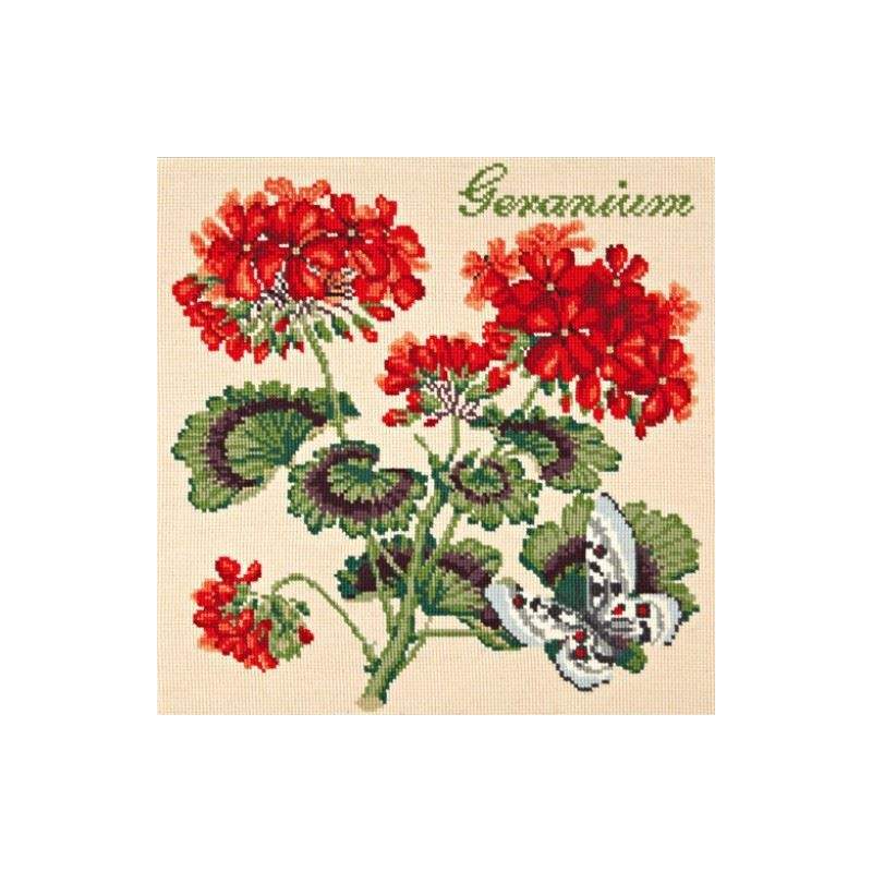 Elizabeth Bradley, Cottage Garden, GERANIUM - 16x16 pollici Elizabeth Bradley - 1