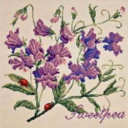 Elizabeth Bradley, Cottage Garden, SWEETPEA - 16x16 pollici Elizabeth Bradley - 1