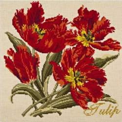 Elizabeth Bradley, Cottage Garden, TULIP - 16x16 pollici Elizabeth Bradley - 1