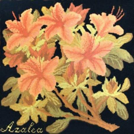 Elizabeth Bradley, Evergreens, AZALEA - 16x16 pollici Elizabeth Bradley - 1