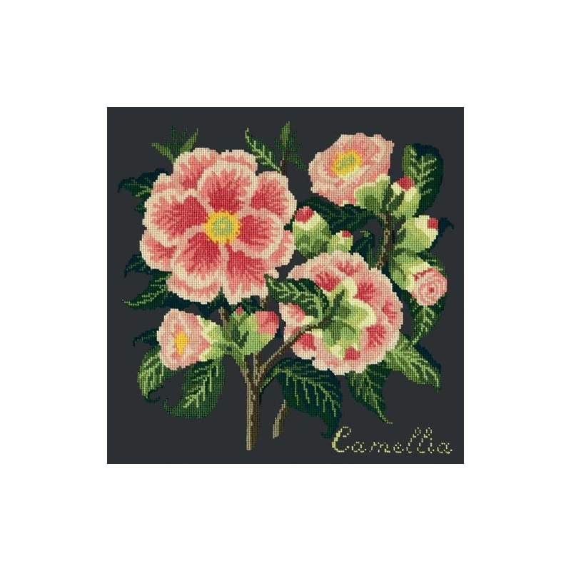 Elizabeth Bradley, Evergreens, CAMELLIA - 16x16 pollici Elizabeth Bradley - 1