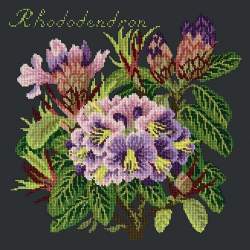 Elizabeth Bradley, Evergreens, RHODODENDRON - 16x16 pollici Elizabeth Bradley - 1