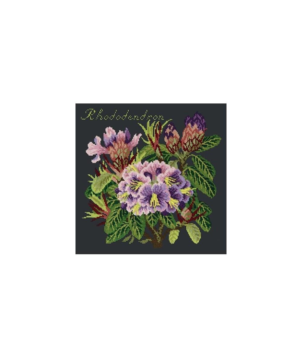 Elizabeth Bradley, Evergreens, RHODODENDRON - 16x16 pollici Elizabeth Bradley - 1
