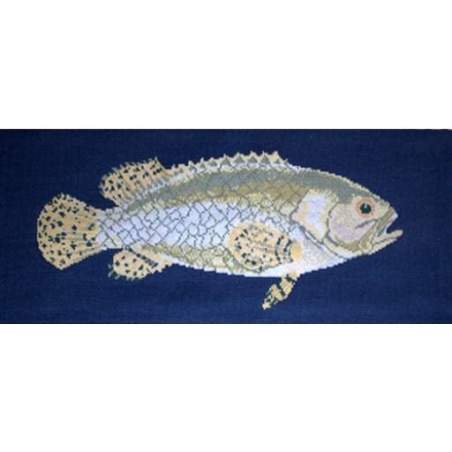 Elizabeth Bradley, The Fishes, BRINDLED GROUPER - 28x11 pollici Elizabeth Bradley - 1