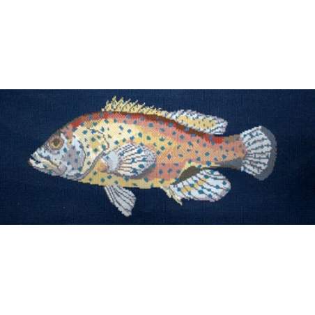 Elizabeth Bradley, The Fishes, VERMILION SEABASS - 28x11 pollici Elizabeth Bradley - 1