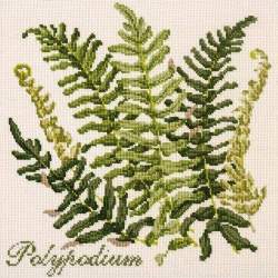 Elizabeth Bradley, Shade Garden, POLYPODIUM - 16x16 pollici Elizabeth Bradley - 1