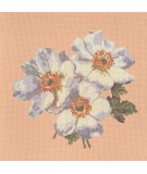Elizabeth Bradley, Blooms, ANEMONES - 16x16 pollici Elizabeth Bradley - 3