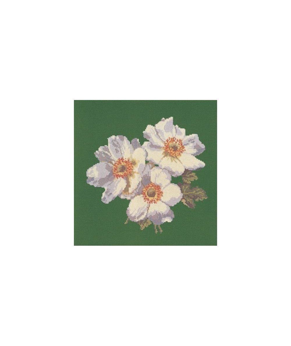 Elizabeth Bradley, Blooms, ANEMONES - 16x16 pollici Elizabeth Bradley - 6
