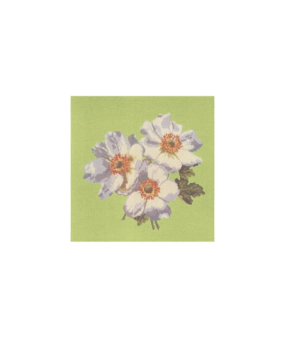 Elizabeth Bradley, Blooms, ANEMONES - 16x16 pollici Elizabeth Bradley - 8