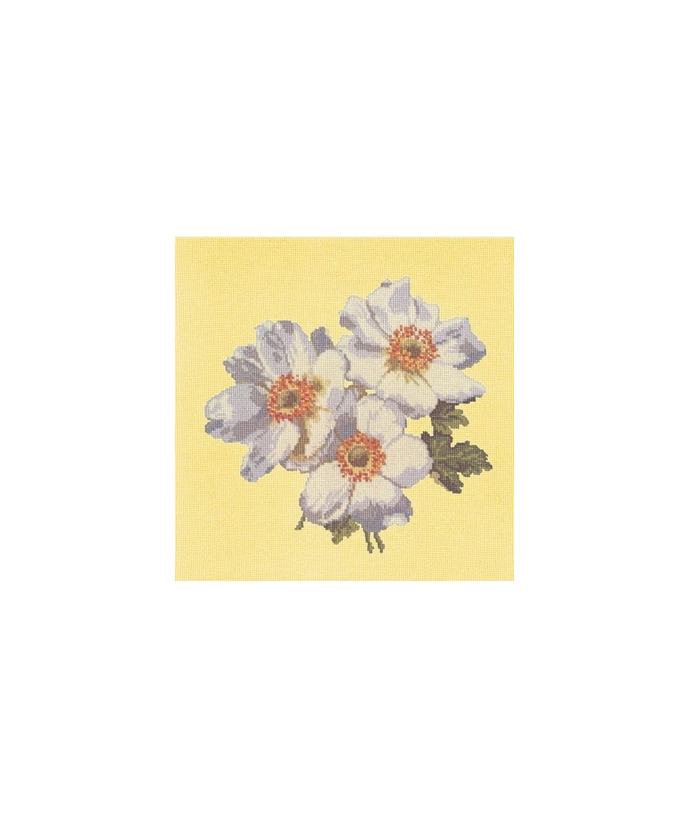 Elizabeth Bradley, Blooms, ANEMONES - 16x16 pollici Elizabeth Bradley - 10