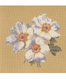 Elizabeth Bradley, Blooms, ANEMONES - 16x16 pollici Elizabeth Bradley - 13