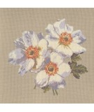 Elizabeth Bradley, Blooms, ANEMONES - 16x16 pollici Elizabeth Bradley - 17