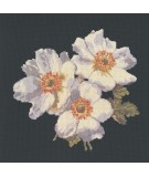 Elizabeth Bradley, Blooms, ANEMONES - 16x16 pollici Elizabeth Bradley - 18