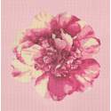 Elizabeth Bradley, Blooms, CAMELLIA BLOSSOM - 16x16 pollici Elizabeth Bradley - 2