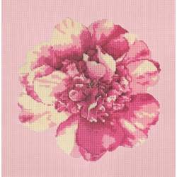 Elizabeth Bradley, Blooms, CAMELLIA BLOSSOM - 16x16 pollici Elizabeth Bradley - 2