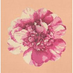 Elizabeth Bradley, Blooms, CAMELLIA BLOSSOM - 16x16 pollici Elizabeth Bradley - 3