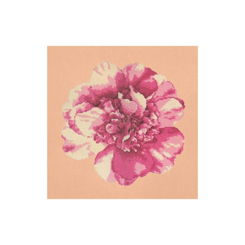 Elizabeth Bradley, Blooms, CAMELLIA BLOSSOM - 16x16 pollici Elizabeth Bradley - 3