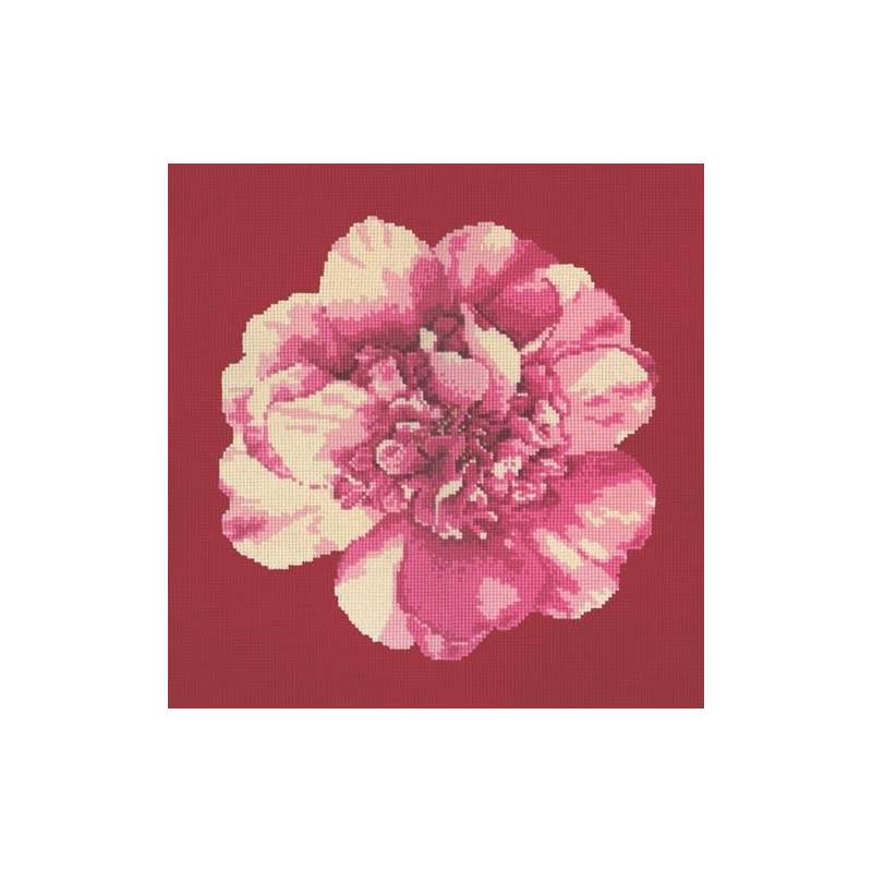 Elizabeth Bradley, Blooms, CAMELLIA BLOSSOM - 16x16 pollici Elizabeth Bradley - 4