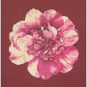 Elizabeth Bradley, Blooms, CAMELLIA BLOSSOM - 16x16 pollici Elizabeth Bradley - 5