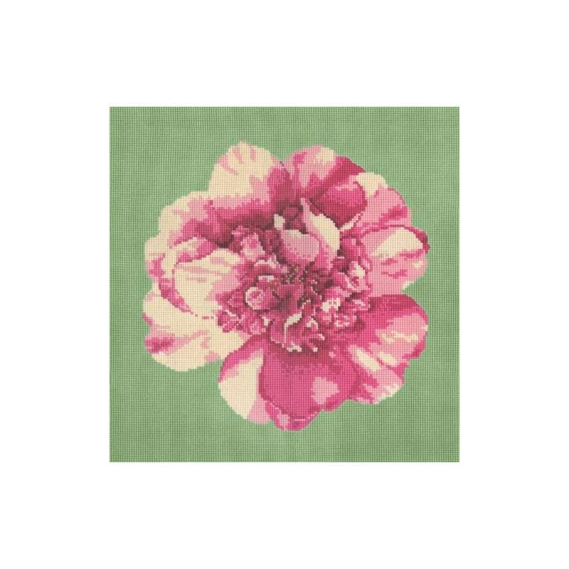Elizabeth Bradley, Blooms, CAMELLIA BLOSSOM - 16x16 pollici Elizabeth Bradley - 8