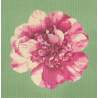 Elizabeth Bradley, Blooms, CAMELLIA BLOSSOM - 16x16 pollici Elizabeth Bradley - 8