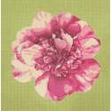 Elizabeth Bradley, Blooms, CAMELLIA BLOSSOM - 16x16 pollici Elizabeth Bradley - 9