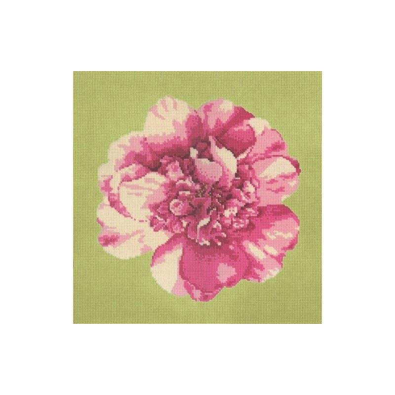 Elizabeth Bradley, Blooms, CAMELLIA BLOSSOM - 16x16 pollici Elizabeth Bradley - 9
