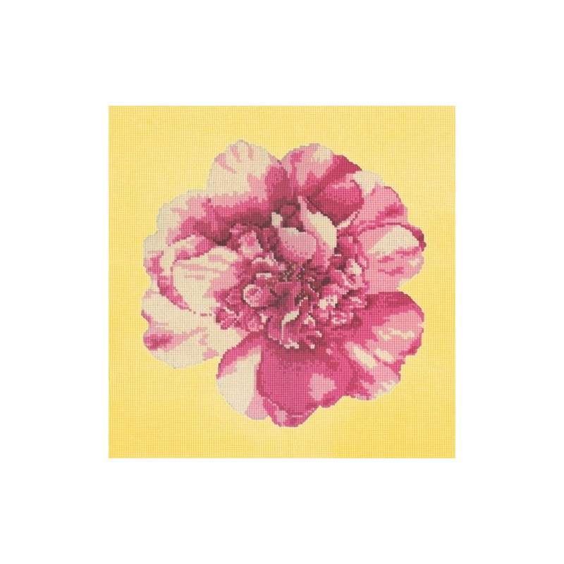 Elizabeth Bradley, Blooms, CAMELLIA BLOSSOM - 16x16 pollici Elizabeth Bradley - 10