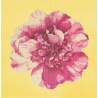 Elizabeth Bradley, Blooms, CAMELLIA BLOSSOM - 16x16 pollici Elizabeth Bradley - 10