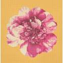 Elizabeth Bradley, Blooms, CAMELLIA BLOSSOM - 16x16 pollici Elizabeth Bradley - 11