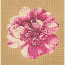 Elizabeth Bradley, Blooms, CAMELLIA BLOSSOM - 16x16 pollici Elizabeth Bradley - 13