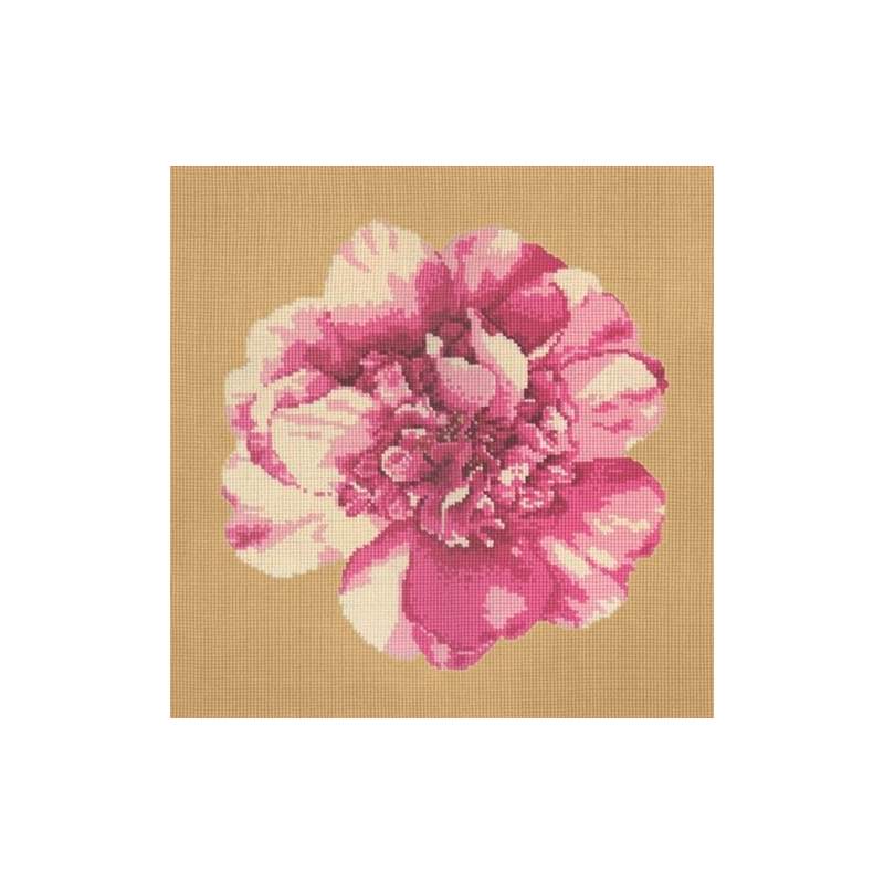 Elizabeth Bradley, Blooms, CAMELLIA BLOSSOM - 16x16 pollici Elizabeth Bradley - 13