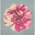 Elizabeth Bradley, Blooms, CAMELLIA BLOSSOM - 16x16 pollici Elizabeth Bradley - 14