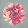 Elizabeth Bradley, Blooms, CAMELLIA BLOSSOM - 16x16 pollici Elizabeth Bradley - 14
