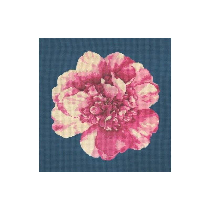 Elizabeth Bradley, Blooms, CAMELLIA BLOSSOM - 16x16 pollici Elizabeth Bradley - 16