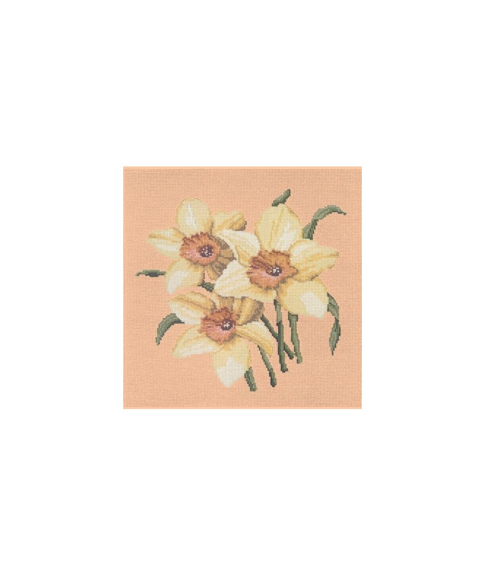 Elizabeth Bradley, Blooms, DAFFODILS - 16x16 pollici Elizabeth Bradley - 3