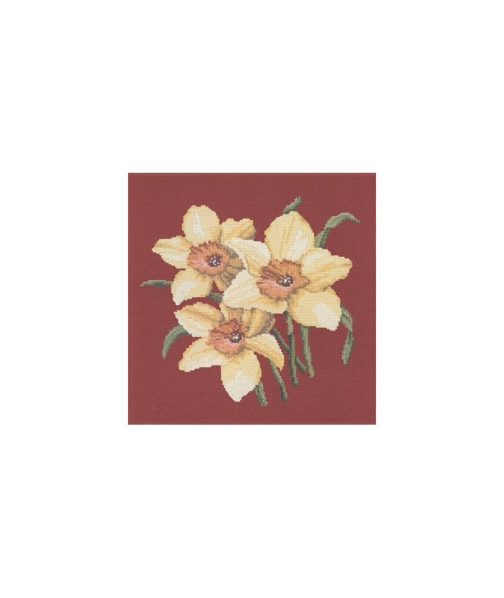 Elizabeth Bradley, Blooms, DAFFODILS - 16x16 pollici Elizabeth Bradley - 5