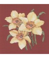 Elizabeth Bradley, Blooms, DAFFODILS - 16x16 pollici Elizabeth Bradley - 5