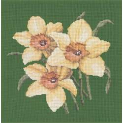 Elizabeth Bradley, Blooms, DAFFODILS - 16x16 pollici Elizabeth Bradley - 6
