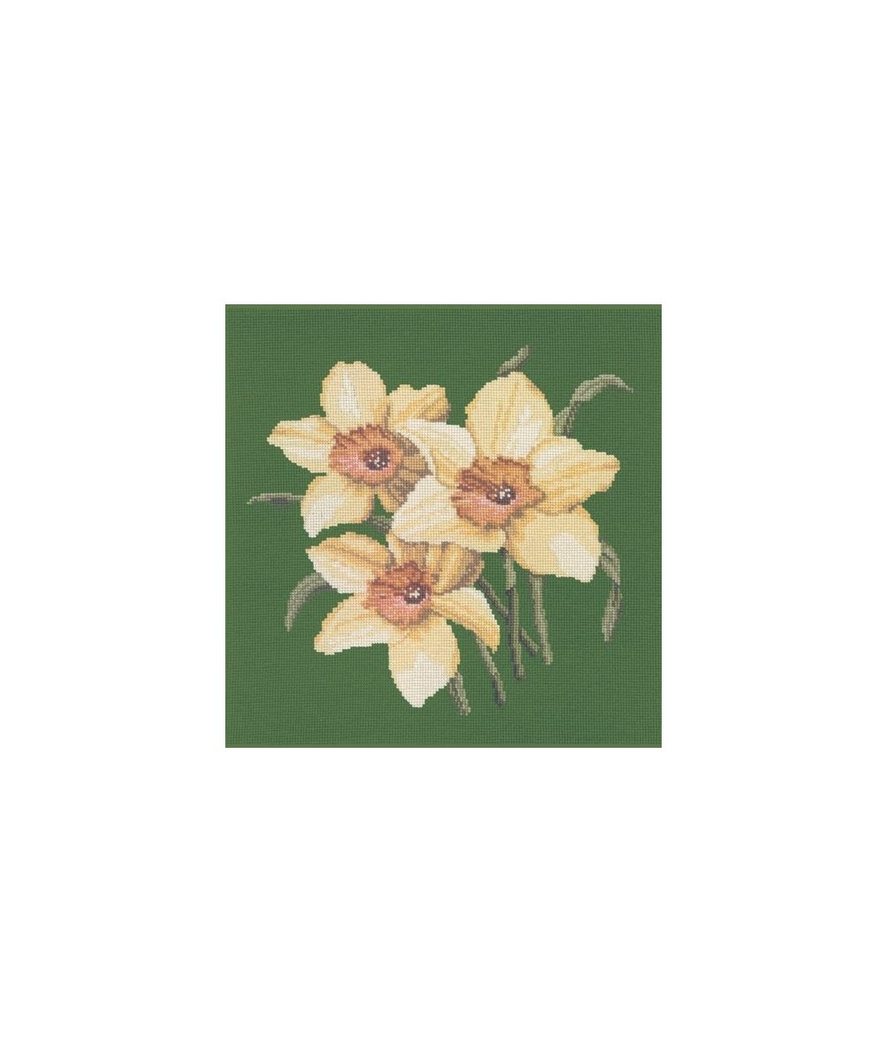 Elizabeth Bradley, Blooms, DAFFODILS - 16x16 pollici Elizabeth Bradley - 6