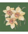 Elizabeth Bradley, Blooms, DAFFODILS - 16x16 pollici Elizabeth Bradley - 6